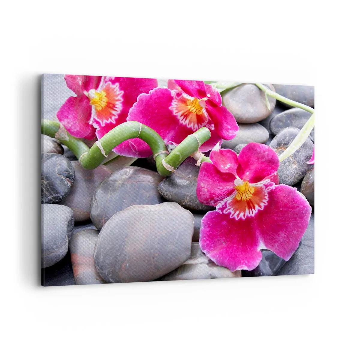 Impression sur toile - Image sur toile - Orchidées roses sur fond de pierres lisses - 100x70cm - Refroidir et chauffer - Décoration murale moderne pour le salon et la chambre ARTTOR