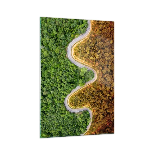 Impression sur verre - Image sur verre - Une route sinueuse à travers la forêt vue à vol d'oiseau - 70x100cm - Frontieres et differences - Décoration murale moderne pour le salon et la chambre ARTTOR