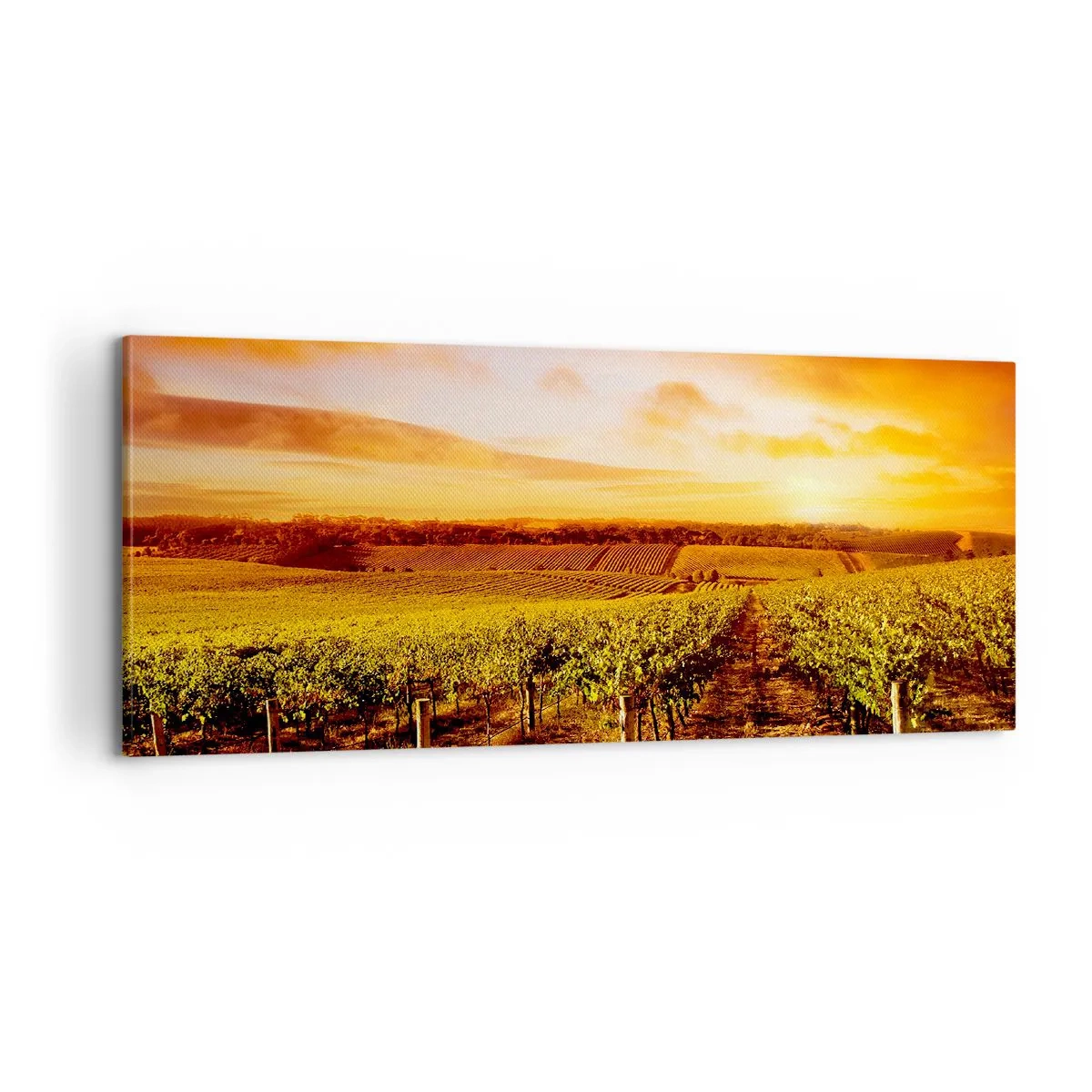 Impression sur toile - Image sur toile - Légèrement fruité avec une pointe de soleil - 100x40 cm