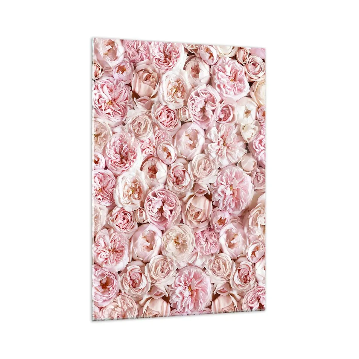 Impression sur verre - Image sur verre - Des roses délicates dans des tons de rose sur toute la surface - 70x100cm - Un lit de roses - Décoration murale moderne pour le salon et la chambre ARTTOR