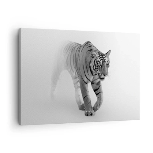 Impression sur toile - Image sur toile - Un tigre émergeant du brouillard - 70x50cm - Accroupi dans le brouillard - Décoration murale moderne pour le salon et la chambre ARTTOR