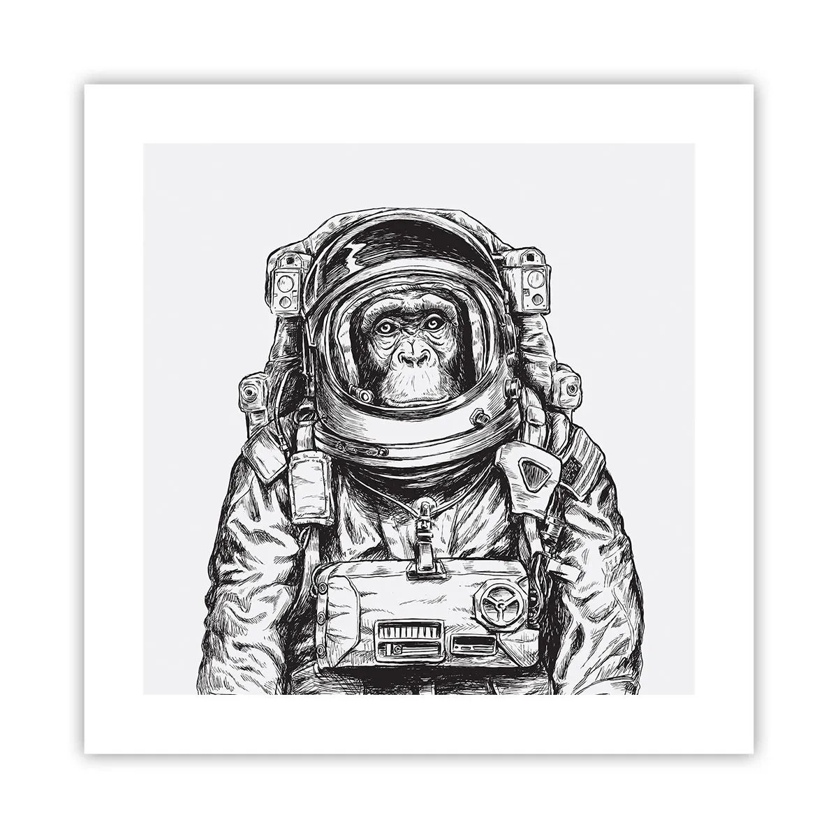 Affiche - Poster - Évolution alternative - 40x40 cm