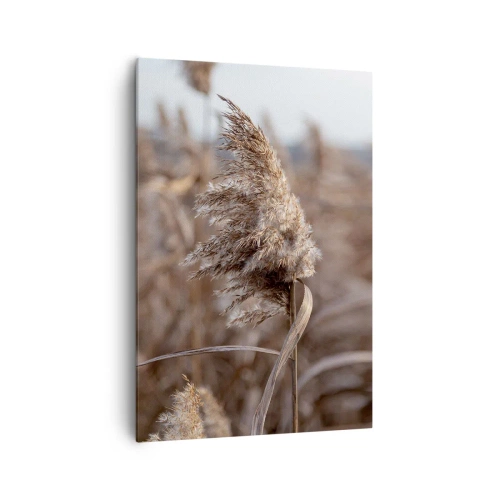Impression sur toile - Image sur toile - Graminées délicates dans des tons beiges sur fond de nature - 70x100cm - Il est temps de s'envoler avec le vent - Décoration murale moderne pour le salon et la chambre ARTTOR