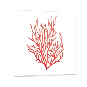 Impression sur verre - Image sur verre - Filigrane de corail - 70x70 cm