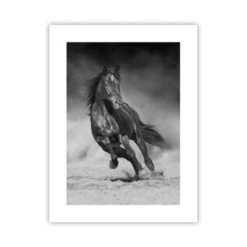Affiche - Poster - Digne de l'émir lui-même - 30x40 cm