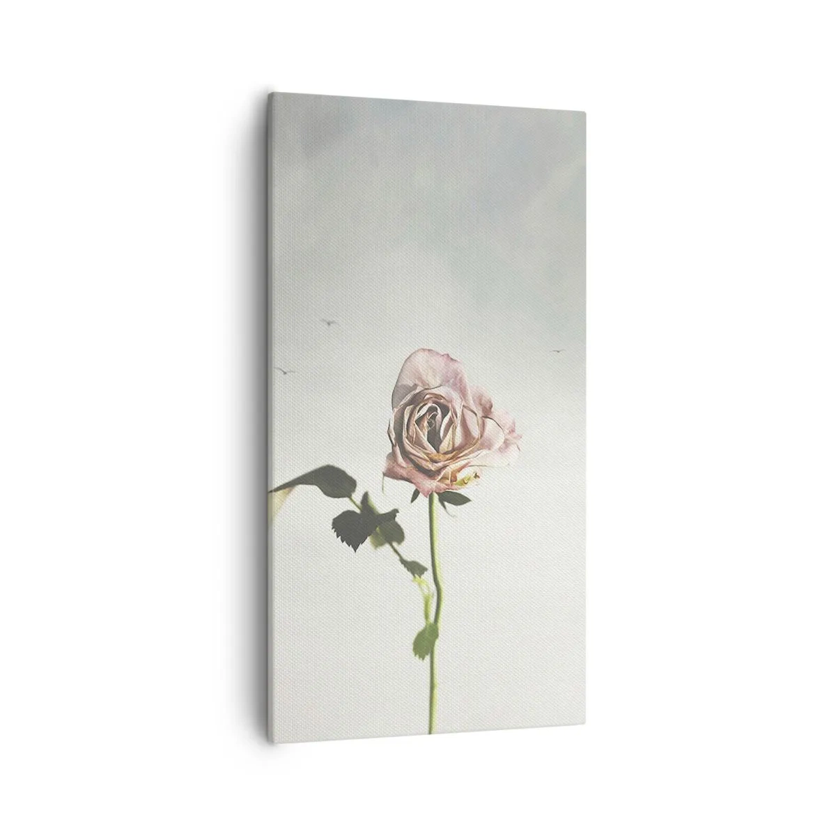 Impression sur toile - Image sur toile - Bonjour de printemps - 55x100 cm