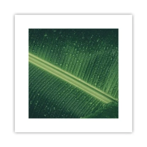 Affiche - Poster - Structure de vert - 30x30 cm