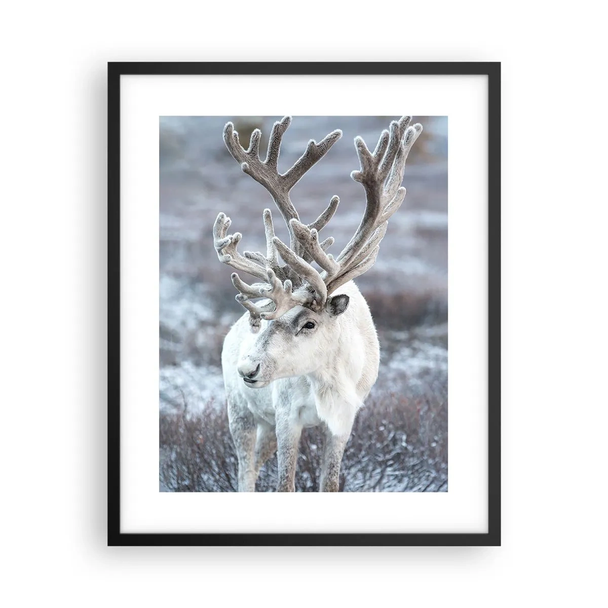 Affiche dans un cadre noir - Poster - Portrait au soleil - 40x50 cm