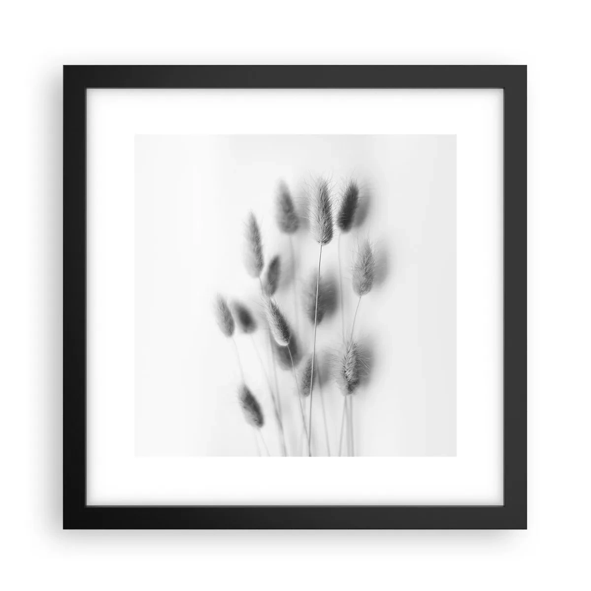 Affiche dans un cadre noir - Poster - Son herbe duveteuse - 30x30 cm