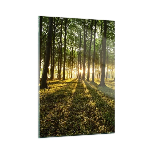 Impression sur verre - Image sur verre - Une clairière forestière illuminée par les rayons du soleil levant - 50x70cm - Toutes les photographies de printemps - Décoration murale moderne pour le salon et la chambre ARTTOR
