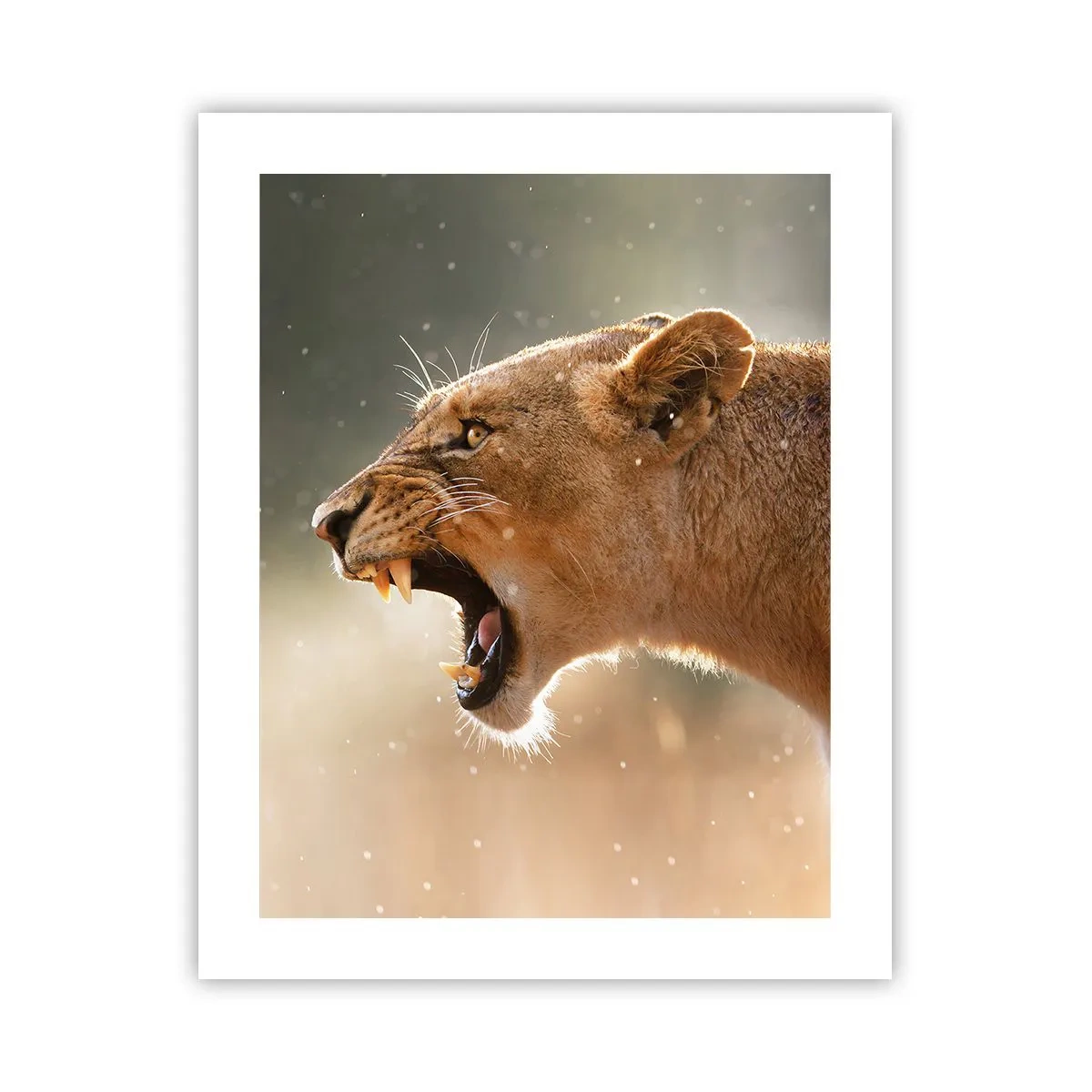 Affiche - Poster - Essayez  de ne pas écouter - 40x50 cm