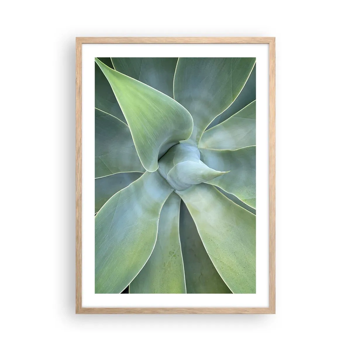 Affiche dans un chêne clair - Poster - La naissance de la verdure - 50x70 cm