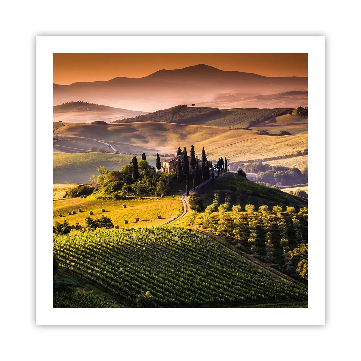Affiche - Poster - Arcadie - le paysage toscan - 60x60 cm
