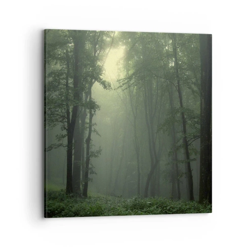 Impression sur toile - Image sur toile - Avant qu'il ne se réveille - 70x70 cm