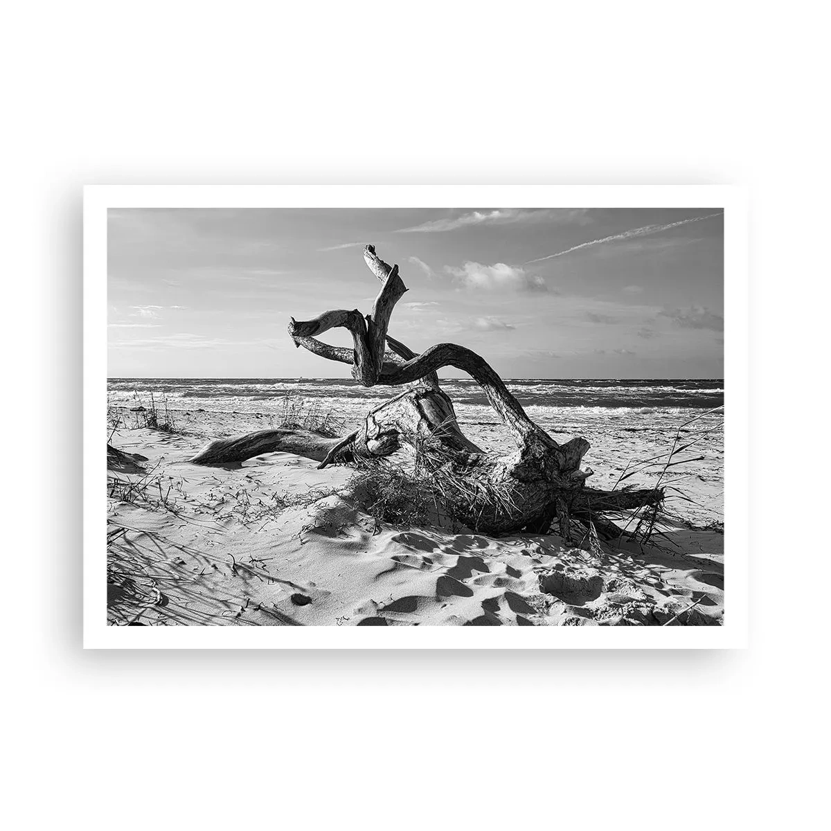 Affiche - Poster - Paysage noir et blanc avec un arbre mort sur la plage - 100x70cm - Sculpture marine - Décoration murale moderne pour le salon et la chambre ARTTOR