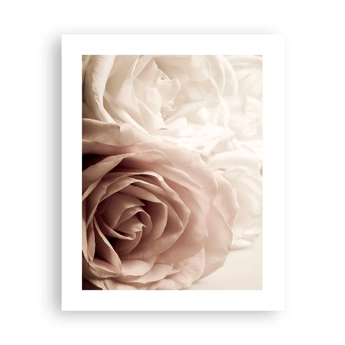 Affiche - Poster - Au coeur d'ue la rose - 40x50 cm