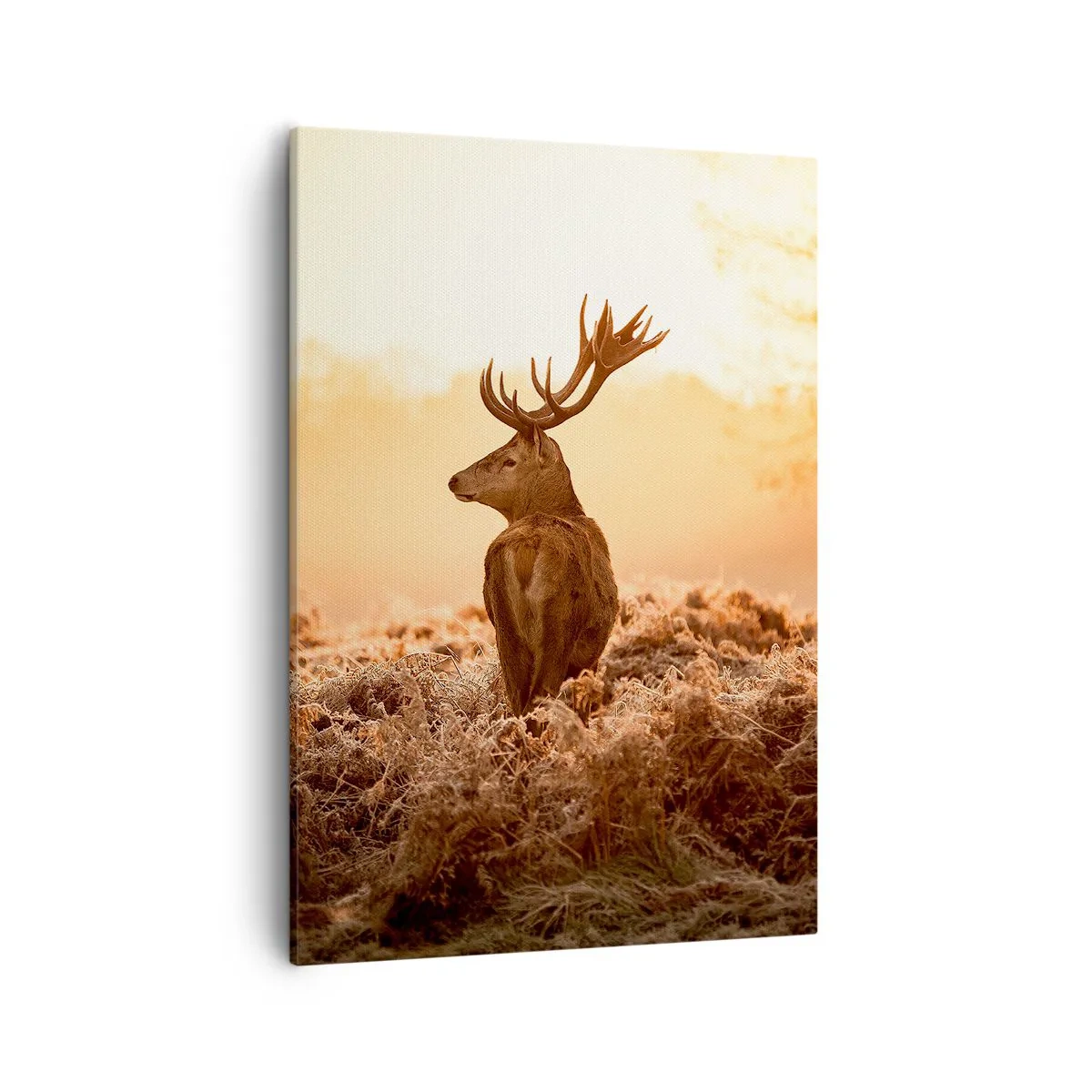 Impression sur toile - Image sur toile - Cerf dans les rayons du soleil levant - 50x70cm - Seigneur du domaine - Décoration murale moderne pour le salon et la chambre ARTTOR