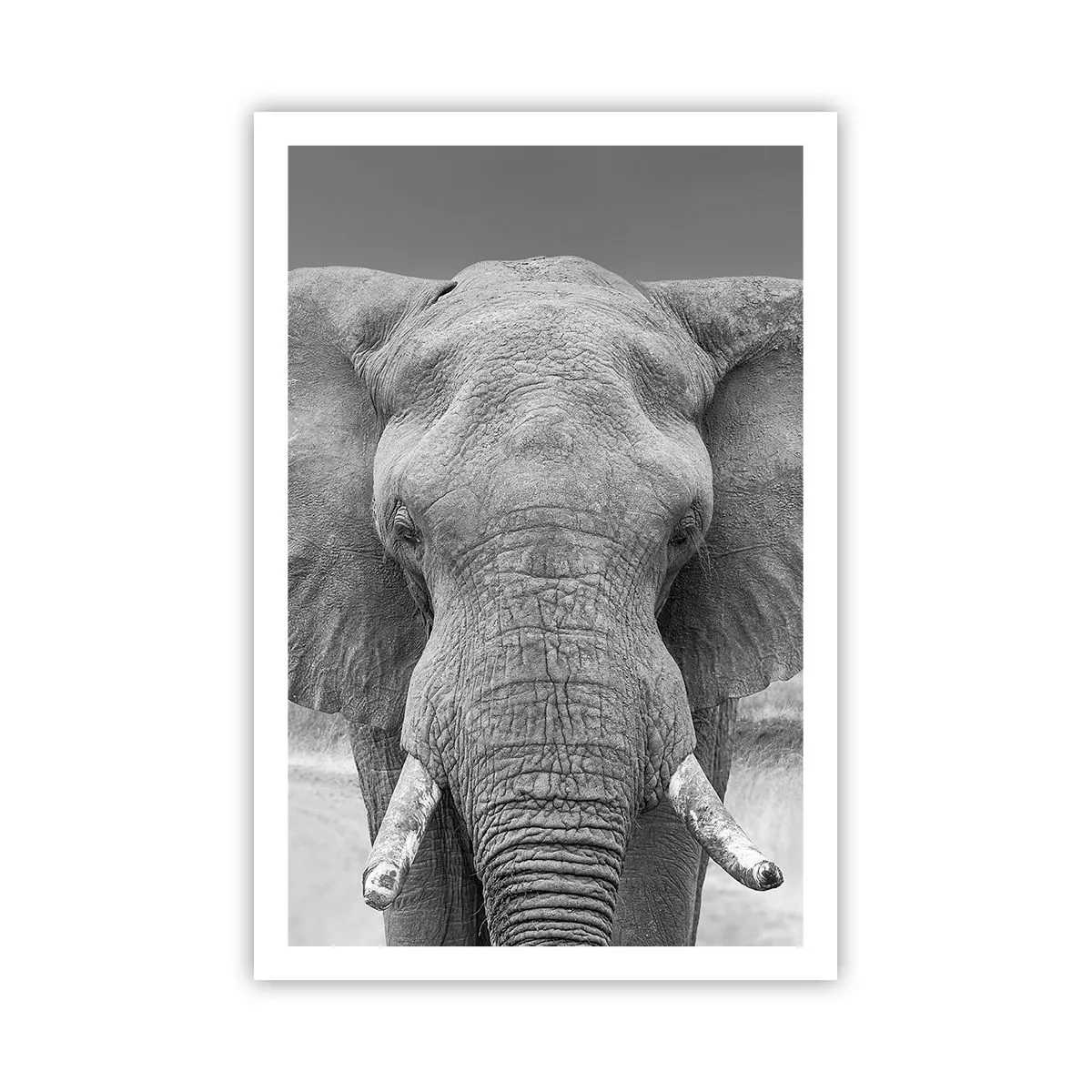 Affiche - Poster - Bienvenue dans mon monde - 61x91 cm