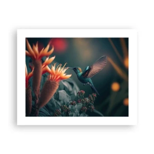 Affiche - Poster - une vie vraiment colorée - 50x40 cm