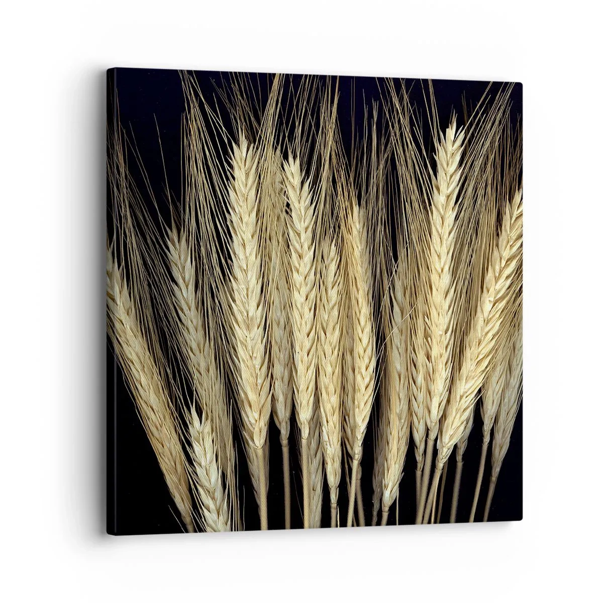 Impression sur toile - Image sur toile - Magie rustique - 30x30 cm