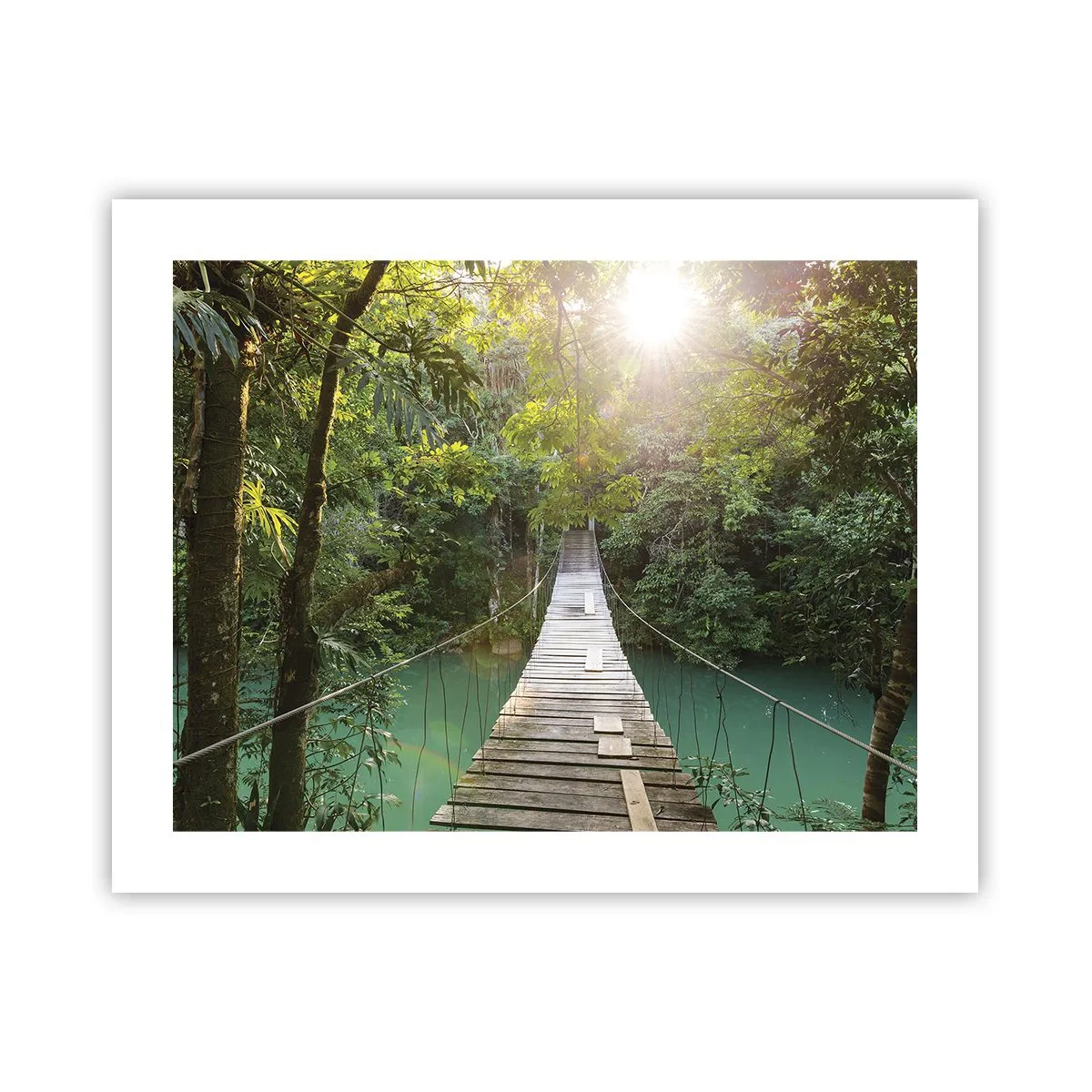 Affiche - Poster - De l'eau azur à la forêt azur - 50x40 cm