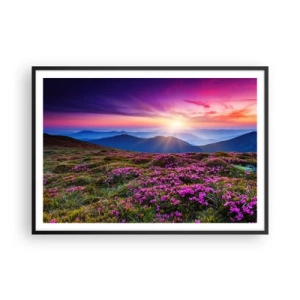 Affiche dans un cadre noir - Poster - Prairie de montagne avec des fleurs au coucher du soleil - 100x70cm - Les herbes sentaient les grappes fraîches de la récolte - Décoration murale moderne pour le salon et la chambre ARTTOR