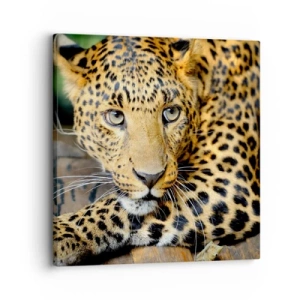 Impression sur toile - Image sur toile - N'aie pas peur, viens - 30x30 cm