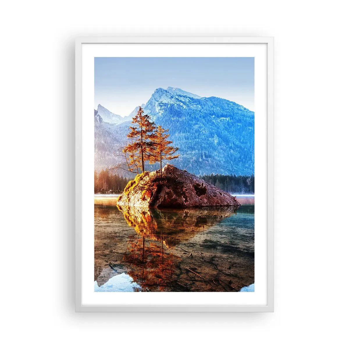 Affiche dans un cadre blanc - Poster - La nature sous un nouveau jour - 50x70 cm