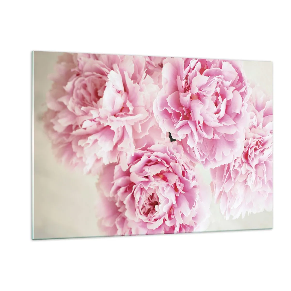 Impression sur verre - Image sur verre - Un bouquet de pivoines roses pleines sur un fond clair - 120x80cm - En glamour rose - Décoration murale moderne pour le salon et la chambre ARTTOR