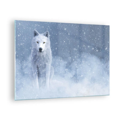 Impression sur verre - Image sur verre - Un loup blanc dans une tempête de neige regardant droit devant lui - 70x50cm - Dans une âme d'hiver - Décoration murale moderne pour le salon et la chambre ARTTOR