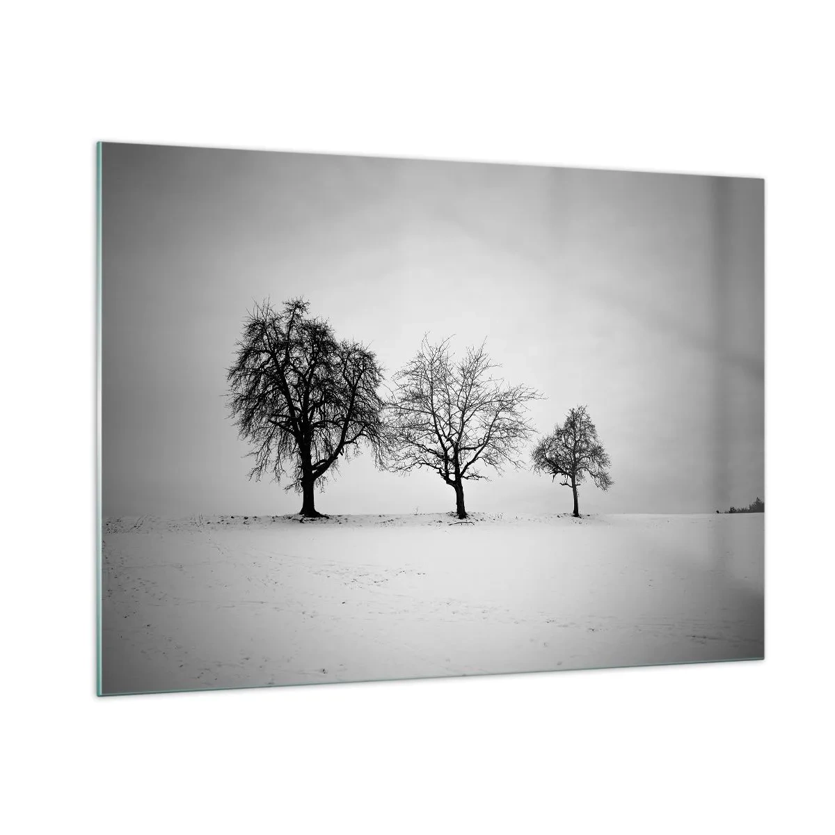 Impression sur verre - Image sur verre - Trois arbres solitaires dans une zone enneigée - 100x70cm - A quoi rêvent-ils? - Décoration murale moderne pour le salon et la chambre ARTTOR