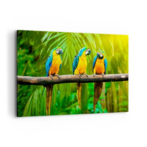 Impression sur toile - Image sur toile - Trois perroquets colorés sur fond de verdure tropicale - 100x70cm - Et avez-vous entendu qu'elle ...? - Décoration murale moderne pour le salon et la chambre ARTTOR