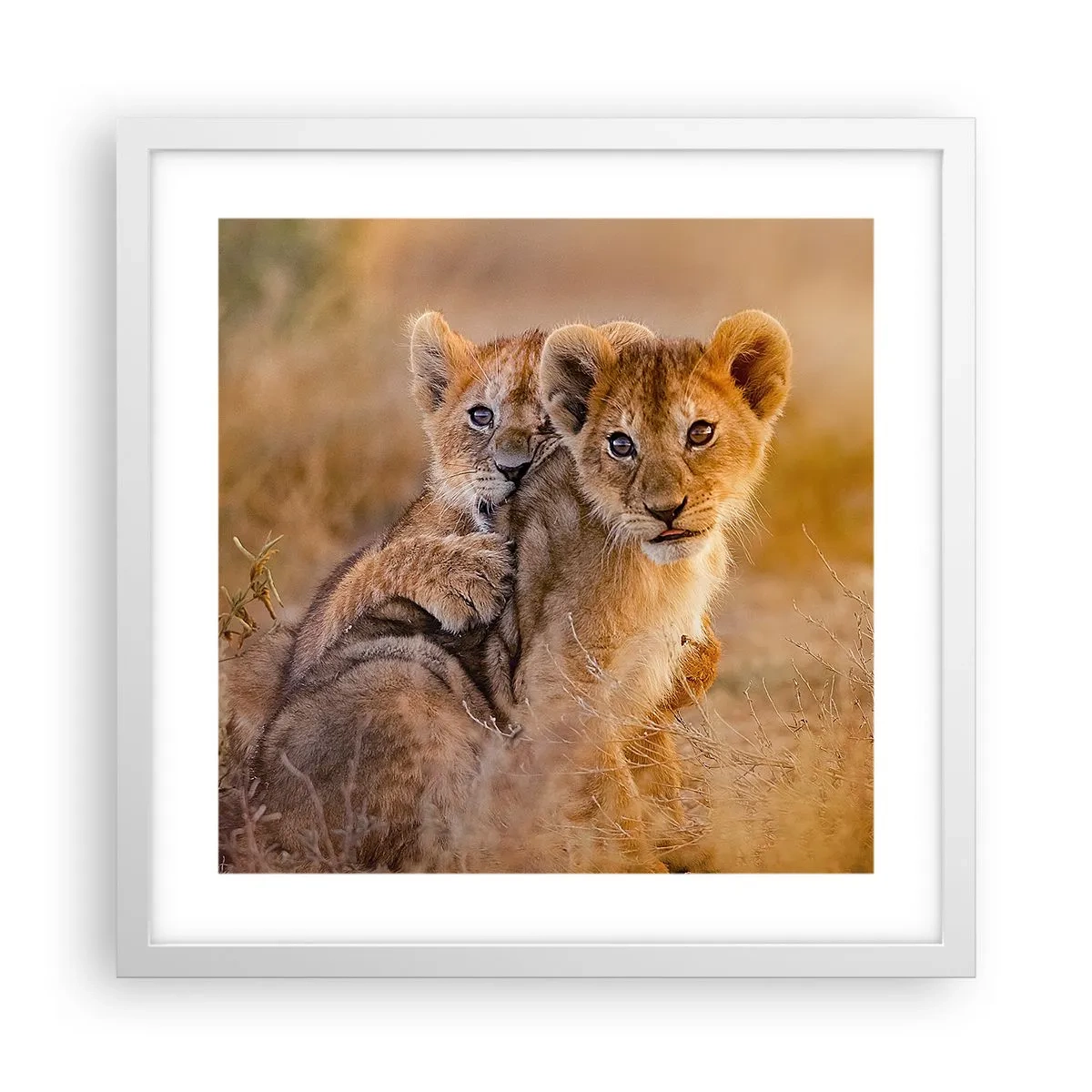 Affiche dans un cadre blanc - Poster - Ne pas déranger! On s'amuse - 40x40 cm