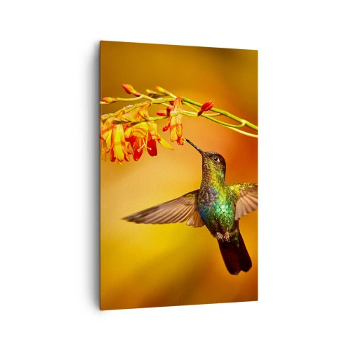 Impression sur toile - Image sur toile - Colibri près d'une fleur dans la lumière chaude - 80x120cm - Un messager de lumière selon les Mayas - Décoration murale moderne pour le salon et la chambre ARTTOR