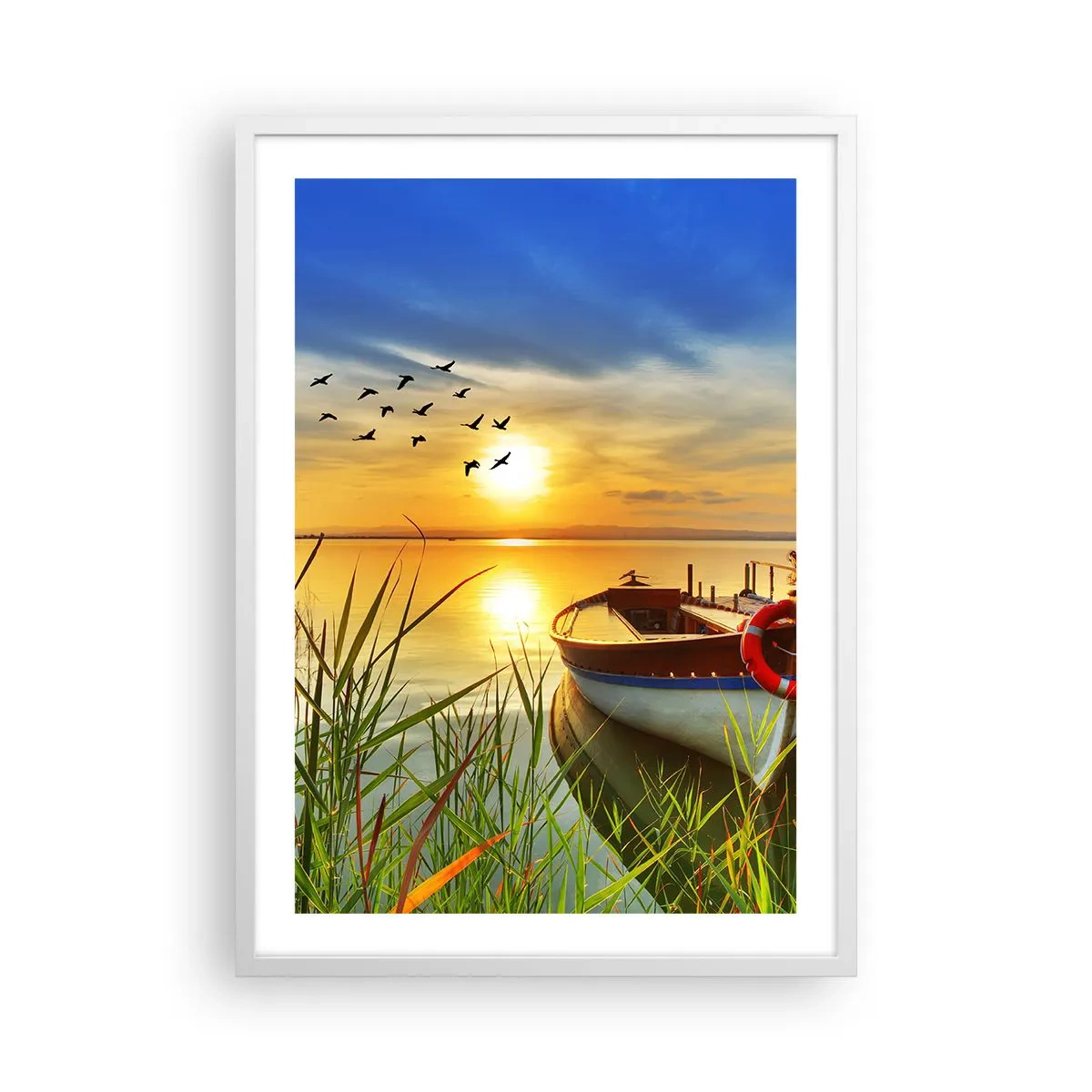 Affiche dans un cadre blanc - Poster - Les cormorans s'envolent déjà - 50x70 cm