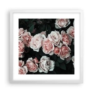 Affiche dans un cadre blanc - Poster - Ensemble de rose - 40x40 cm