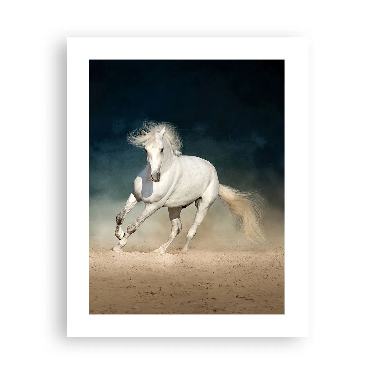 Affiche - Poster - La liberté à l'état pur - 40x50 cm