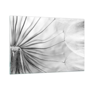 Impression sur verre - Image sur verre - Photographie macro d'un pissenlit dans des tons de noir et blanc - 120x80cm - Aigrette avant son envol - Décoration murale moderne pour le salon et la chambre ARTTOR