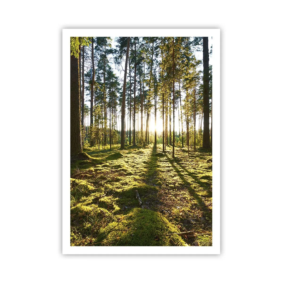 Affiche - Poster - … Derrière les sept forêts - 70x100 cm