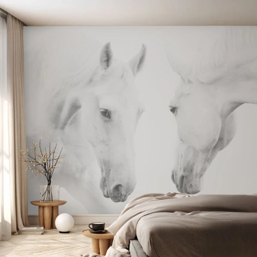 Papier Peint Photo Standard Eco - Chevaux blancs sur fond blanc dans une pose calme - 100x70cm - Serait-ce de l’amitié? - Décoration murale moderne pour le salon et la chambre ARTTOR