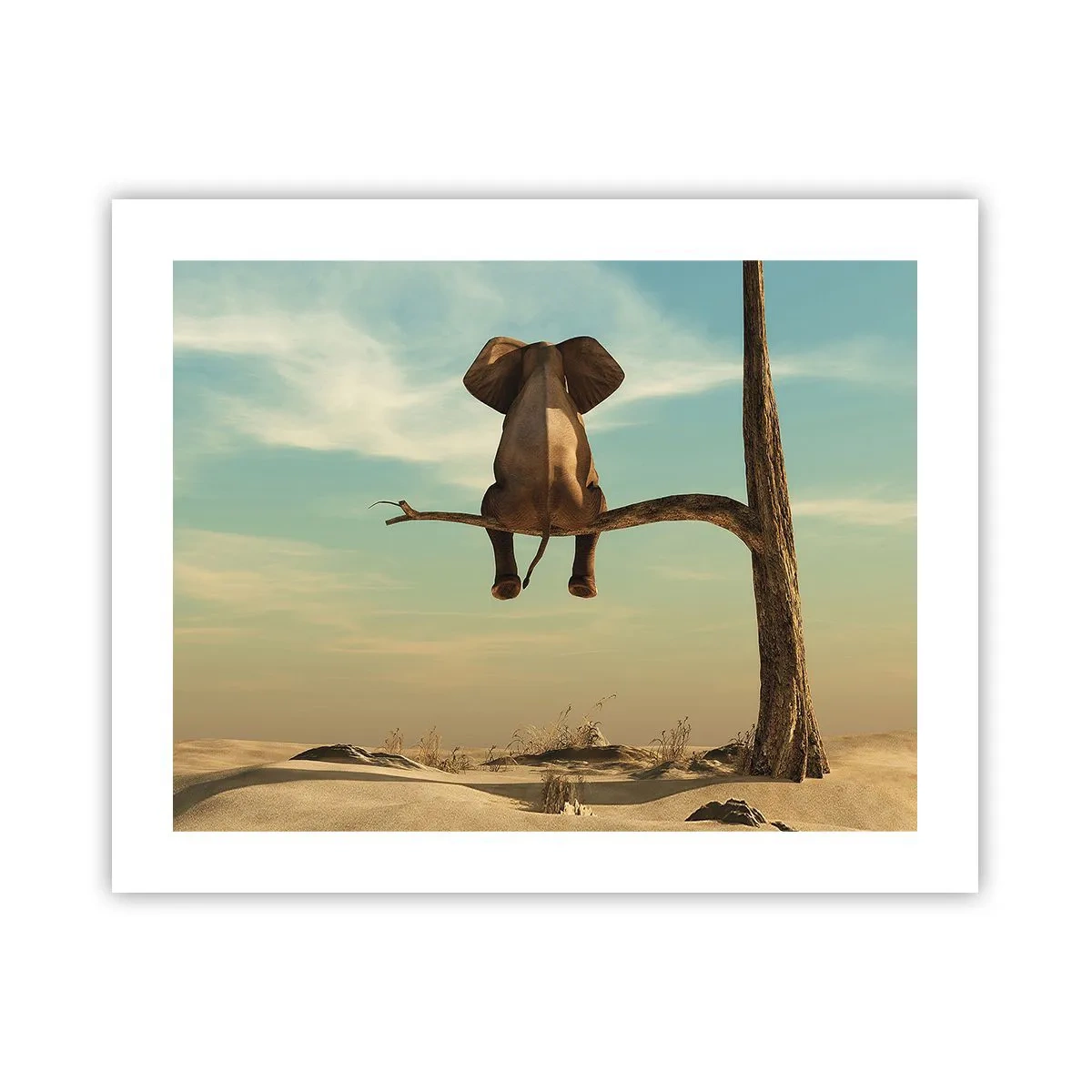 Affiche - Poster - Nouveau point de vue - 50x40 cm