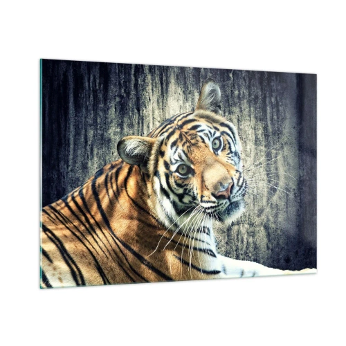Impression sur verre - Image sur verre - Un tigre dans une pose naturelle contre un mur brut - 100x70cm - Portrait dans les flots de lumière - Décoration murale moderne pour le salon et la chambre ARTTOR