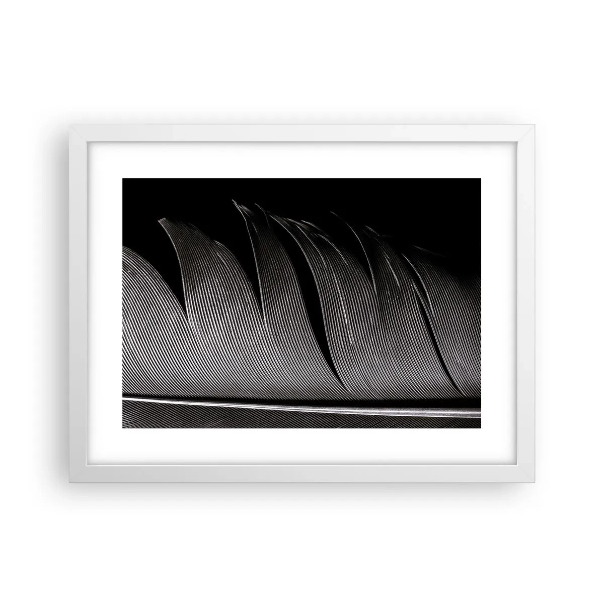 Affiche dans un cadre blanc - Poster - La plume – un design magnifique - 40x30 cm