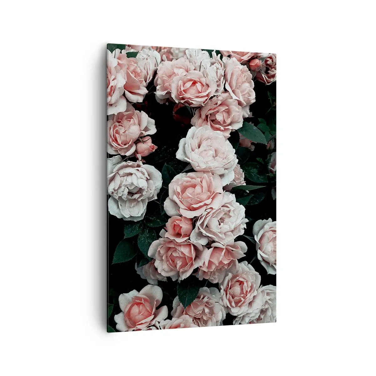 Impression sur toile - Image sur toile - Roses roses sur fond sombre dans une composition subtile - 80x120cm - Ensemble de rose - Décoration murale moderne pour le salon et la chambre ARTTOR