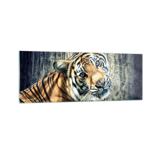 Impression sur verre - Image sur verre - Un tigre couché contre un mur à la texture rugueuse - 140x50cm - Portrait dans les flots de lumière - Décoration murale moderne pour le salon et la chambre ARTTOR