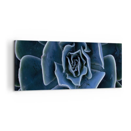 Impression sur toile - Image sur toile - Fleur du désert - 100x40 cm