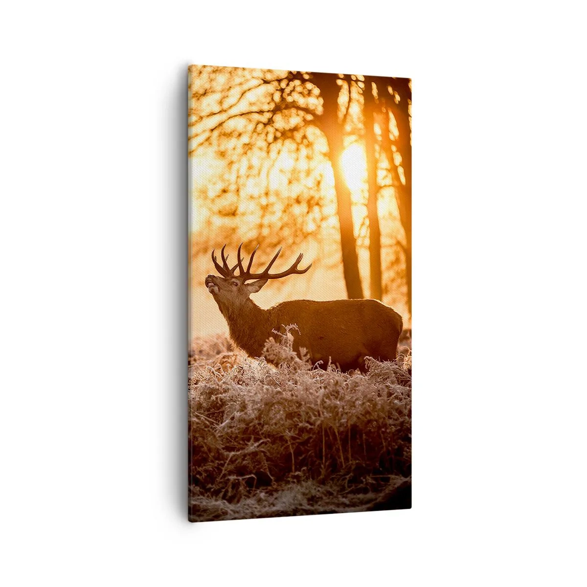 Impression sur toile - Image sur toile - Le rêve d'un chasseur - 55x100 cm