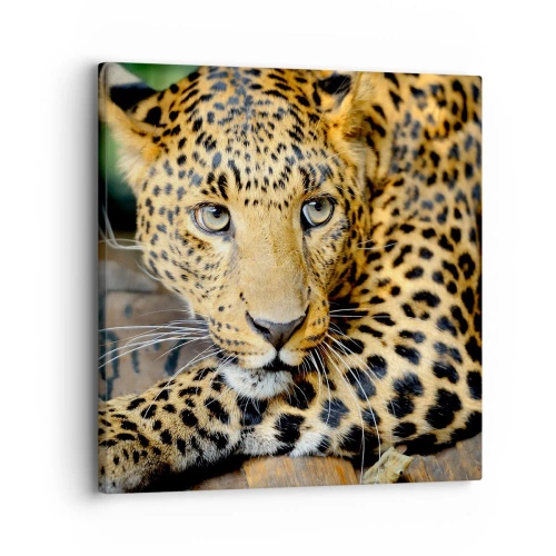 Impression sur toile - Image sur toile - N'aie pas peur, viens - 30x30 cm