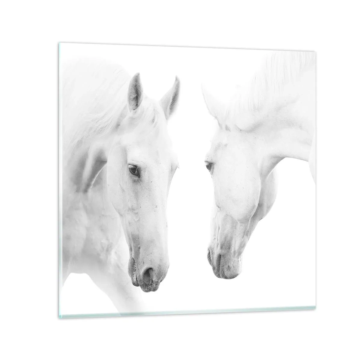 Impression sur verre - Image sur verre - Serait-ce de l’amitié? - 30x30 cm