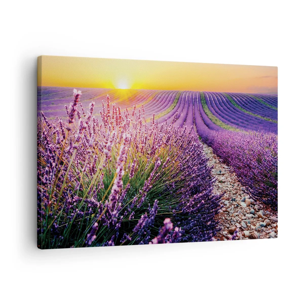 Impression sur toile - Image sur toile - Champ de lavande au coucher du soleil - 70x50cm - Tige parfumée - Décoration murale moderne pour le salon et la chambre ARTTOR